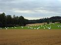 Bild 065